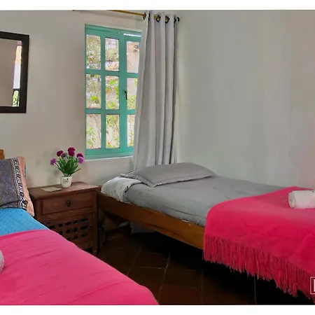 Alegria Hostel-3