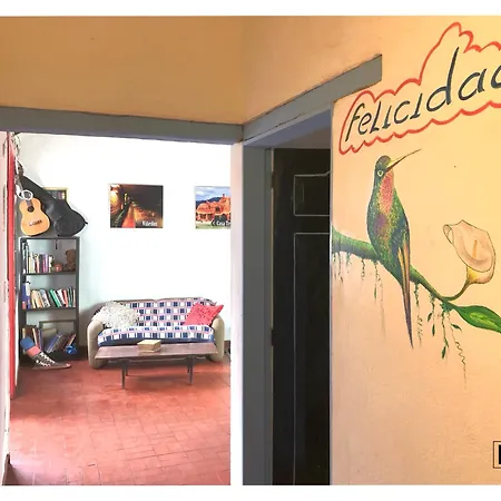 Alegria Hostel-2